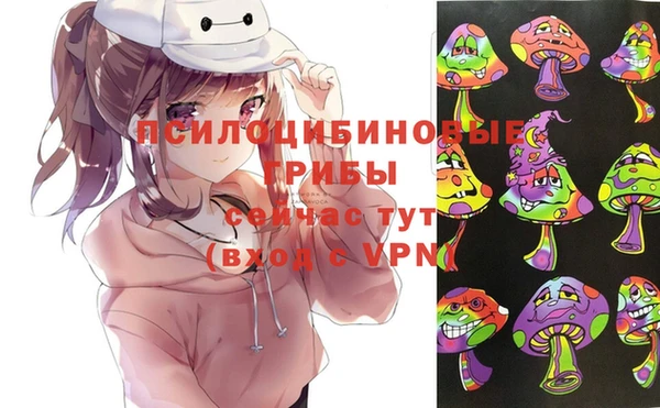 стафф Пересвет