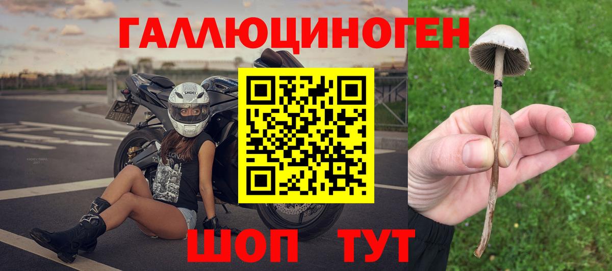 Галлюциногенные грибы Cubensis  Вход с VPN  Псилоцибиновые грибы Cubensis  Соль-Илецк 